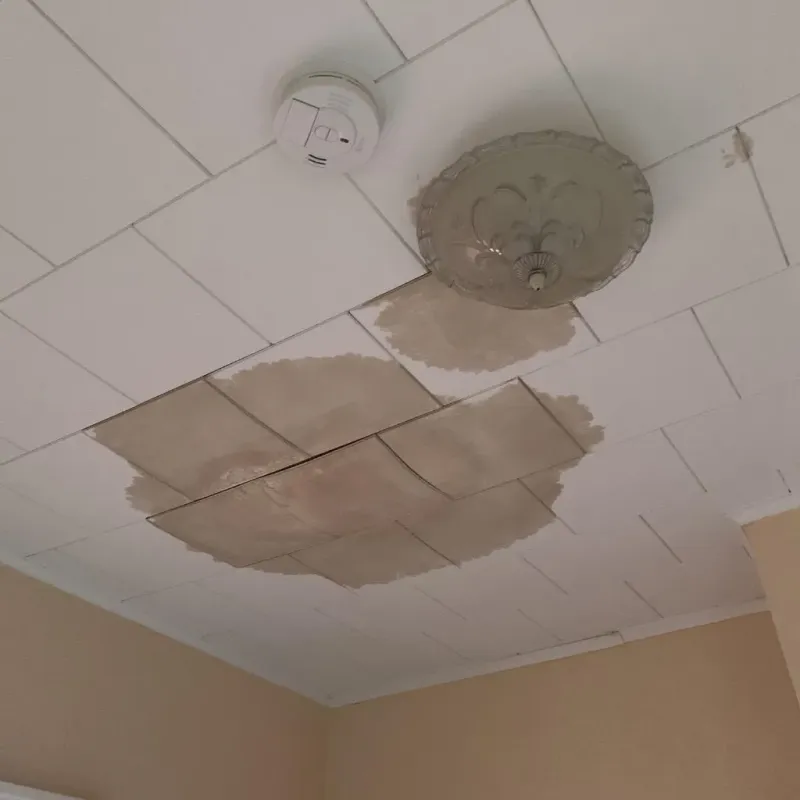 Ceiling Water Damage Repair in Monon, IN