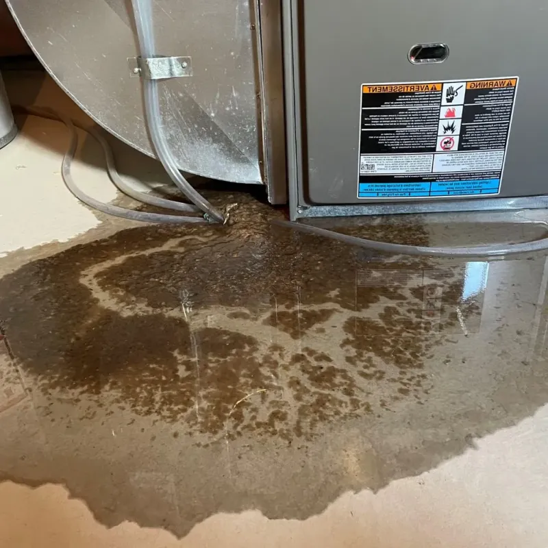Pipe Burst and Leak Restoration in Monon, IN